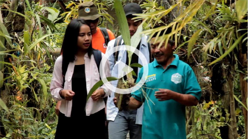 Adopsi Anggrek - Taman Nasional Gn. Merapi