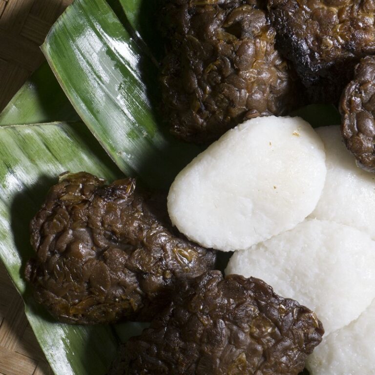 Kuliner Merapi 4 Jadah Tempe