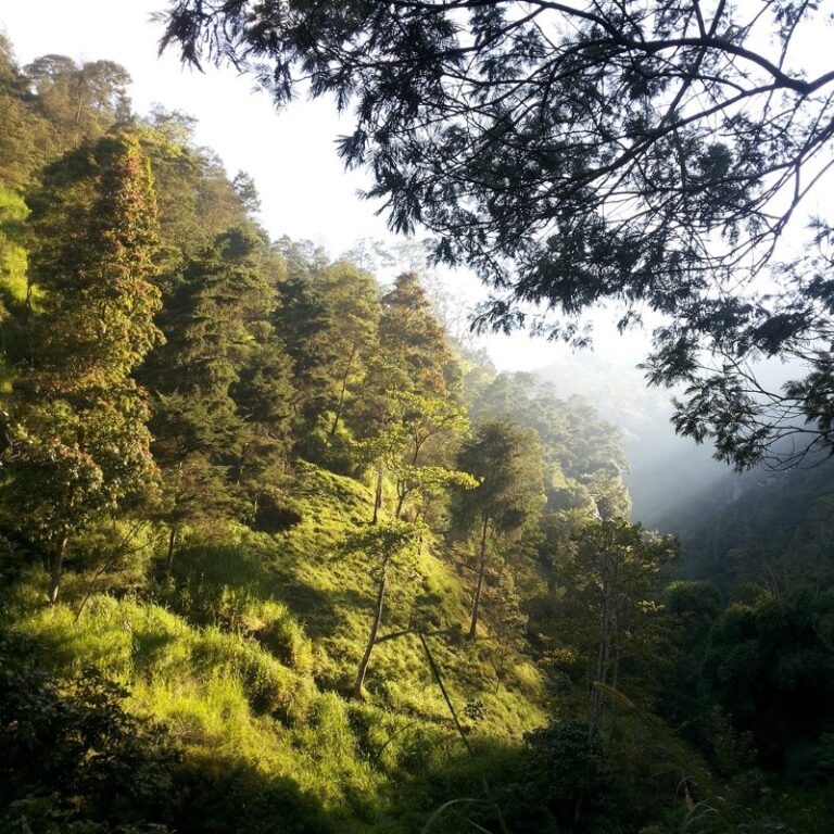 Resort Musuk – Cepogo