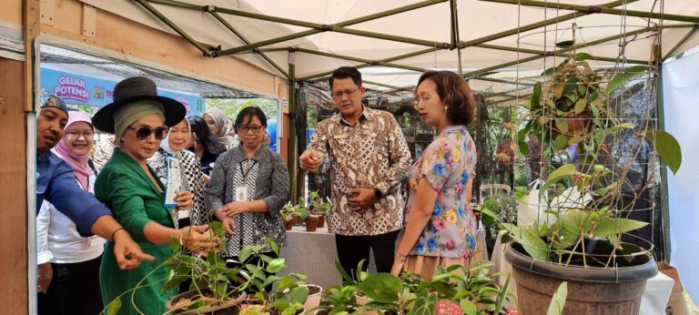 Festival Anggrek Vanda tricolor ke-6 5 Festival Anggrek Vanda tricolor ke-6