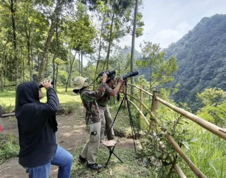 Mengamati Si Elja, Satwa Terancam dan Dilindungi